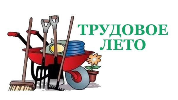 Изображения.